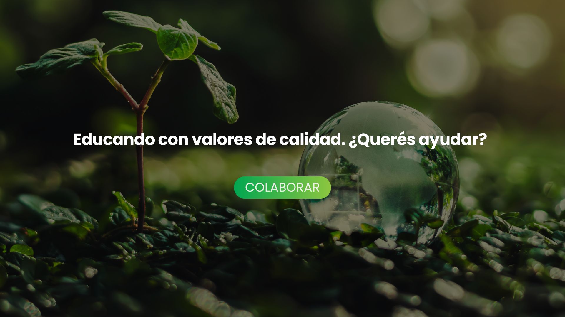 PrototipoFundacion PrototipoFundacion